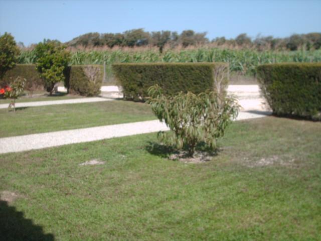 Quinta Da Bunheira Guest House Rogil Exterior photo